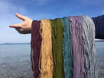A new online home for Why knot Fibers