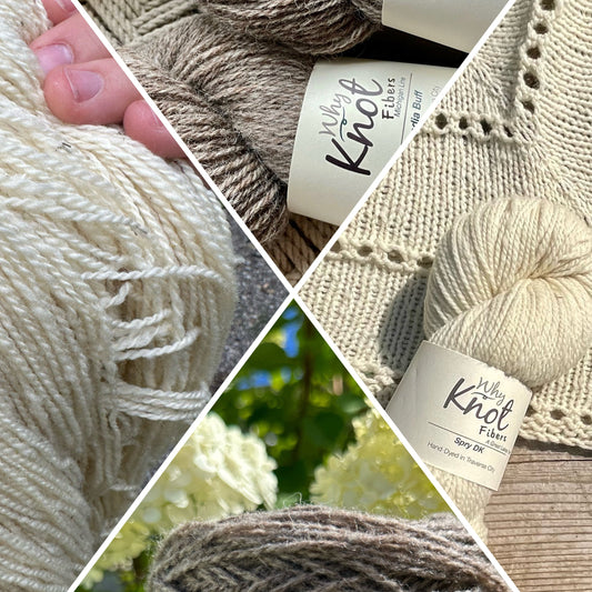 2026 Quarterly Farm-to-Yarn Tasting Club