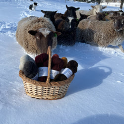 2023 Quarterly Farm-to-Needle Yarn Tasting Club